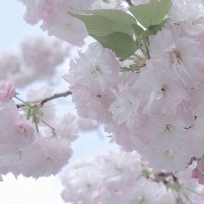 陵水FurryQQ群介绍